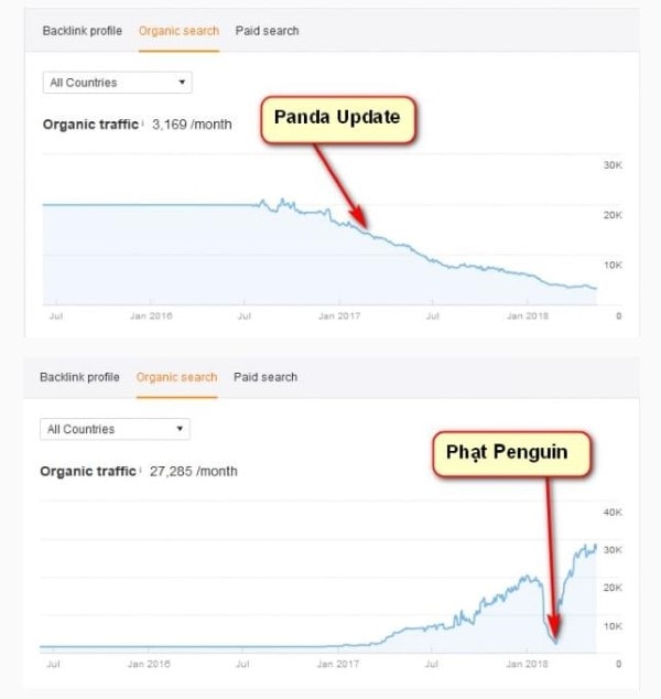 khác biệt giữa Google Panda và Penguin